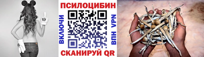 Псилоцибиновые грибы Cubensis  shop Telegram  кракен tor  Иваново  дарнет шоп 